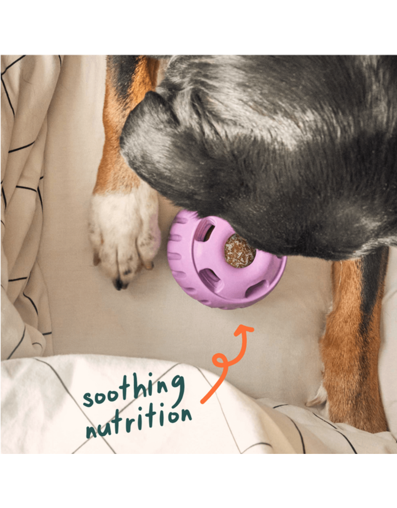 Woof Woof Pupsicle | Pops Calming Vitamin Refill Extra Large (XL)