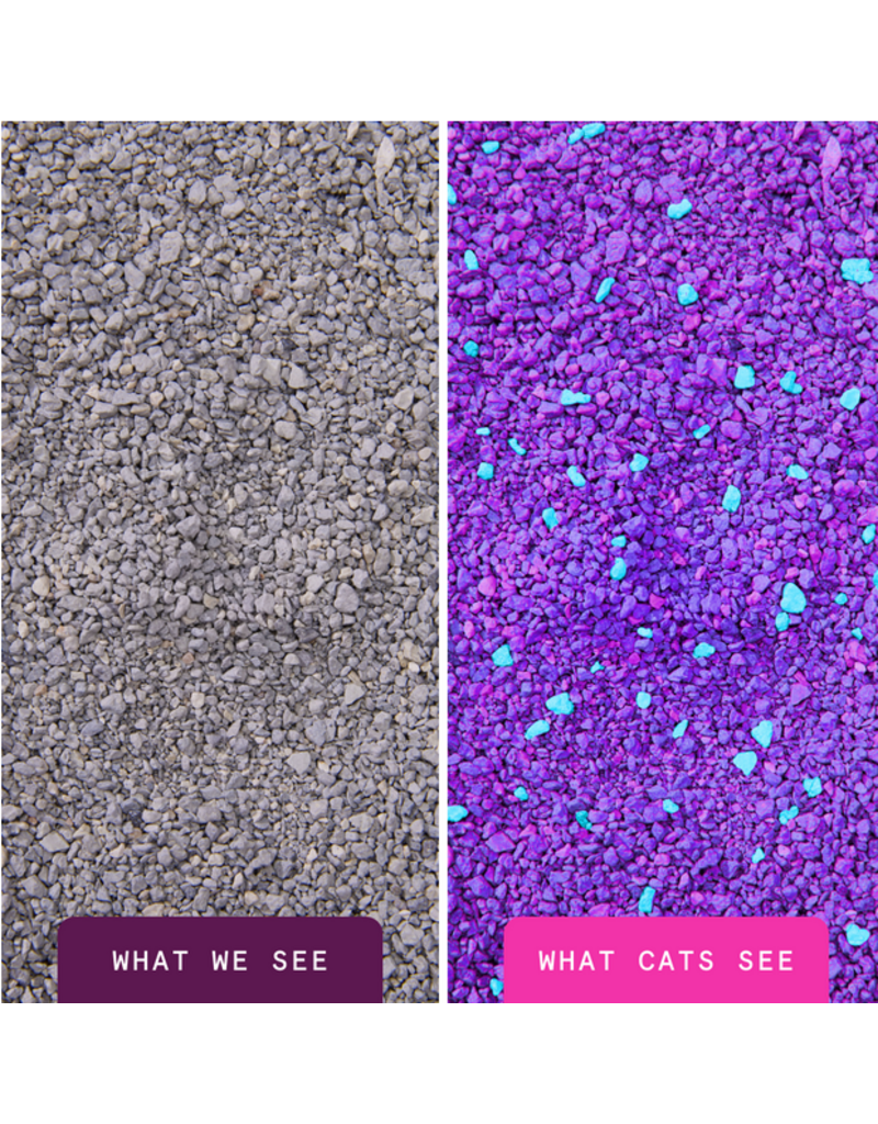 BoxieCat BoxieCat Litter | GLO Attract Clay Clumping Flexbox Bag 28 lb (* Litter 12 lbs or More for Local Delivery or In-Store Pickup Only. *)