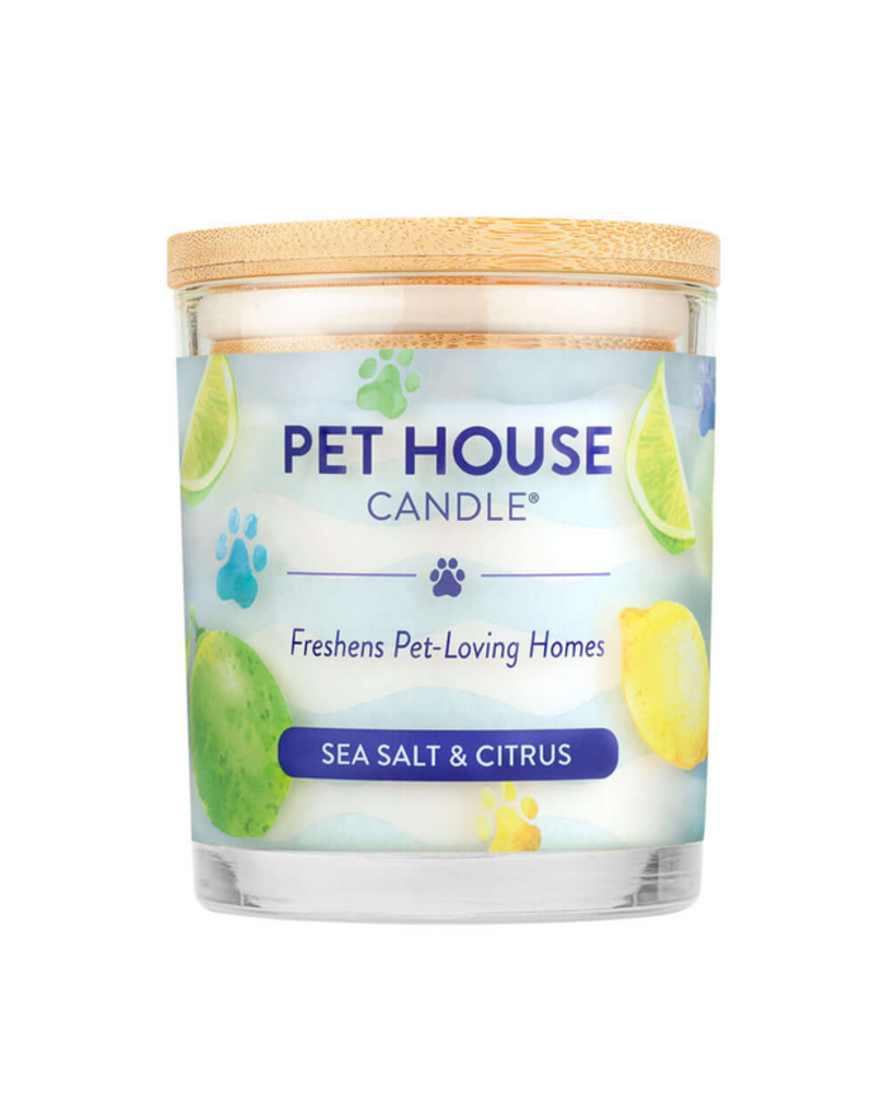 Pet House Pet House Candles | Sea Salt & Citrus 8.5 oz