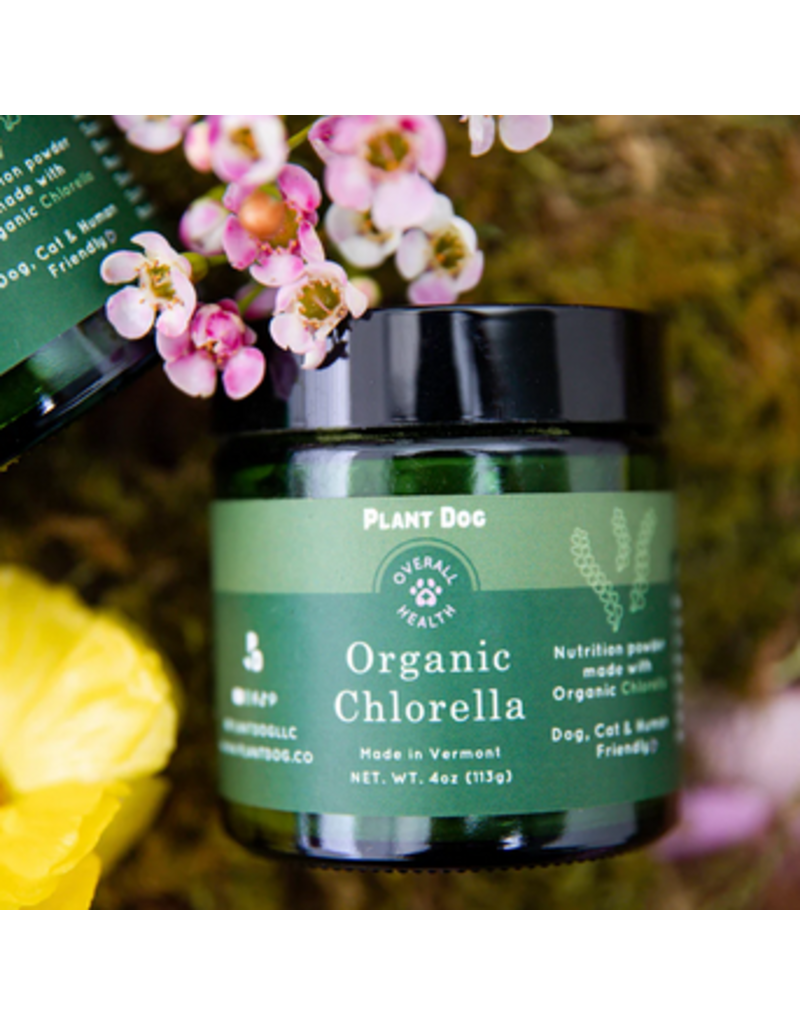 Plant Dog LLC Plant Dog | Organic Chlorella Powder 2 oz