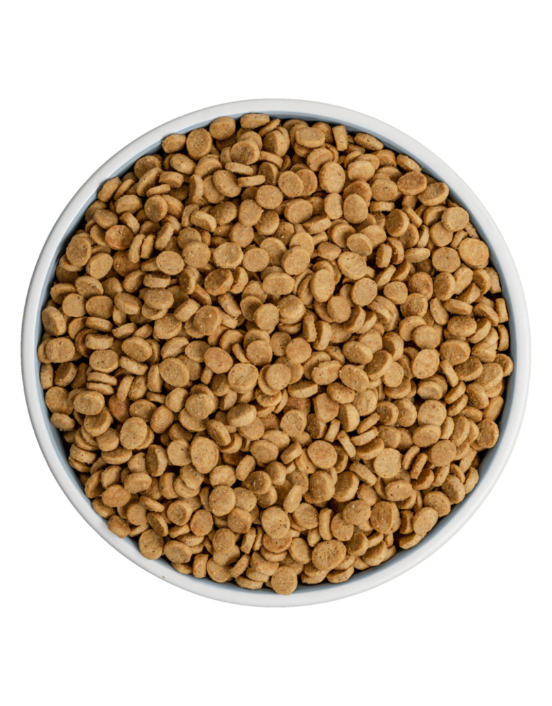 Bixbi z Bixbi Rawbble Cat Kibble | Salmon Recipe 10 lb