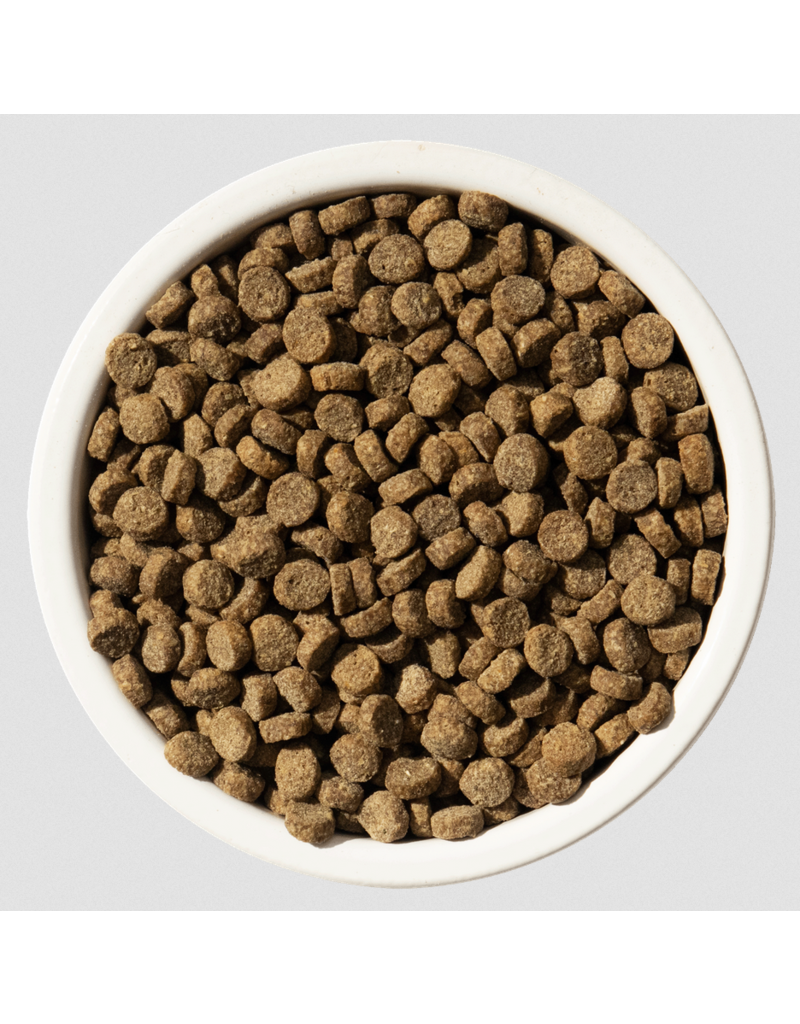 Bixbi z Bixbi Rawbble Cat Kibble | Digestive Health Chicken Recipe 10 lb