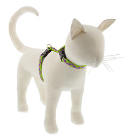 Lupine Lupine Originals Cat H-Harness | Jester 12-20" Limited Edition 2024