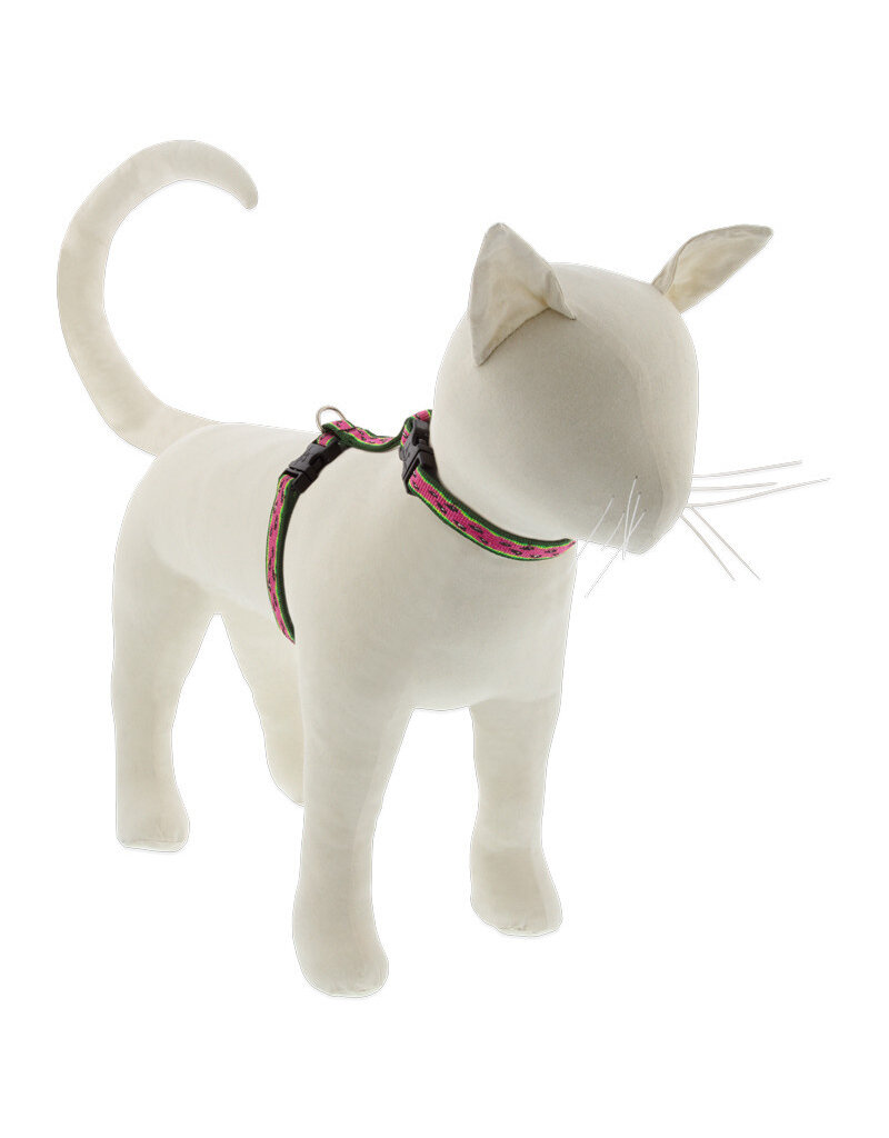 Lupine Lupine Originals Cat H-Harness | Watermelon 12-20" Limited Edition 2024