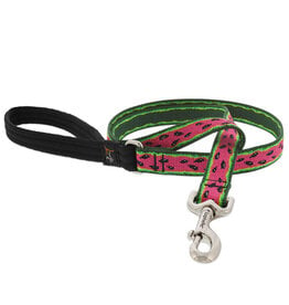 Lupine Lupine Originals 3/4" Leash | Watermelon 6' Limited Edition 2024