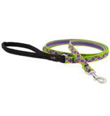 Lupine Lupine Originals 1/2" Leash | Jester 6' Limited Edition 2024