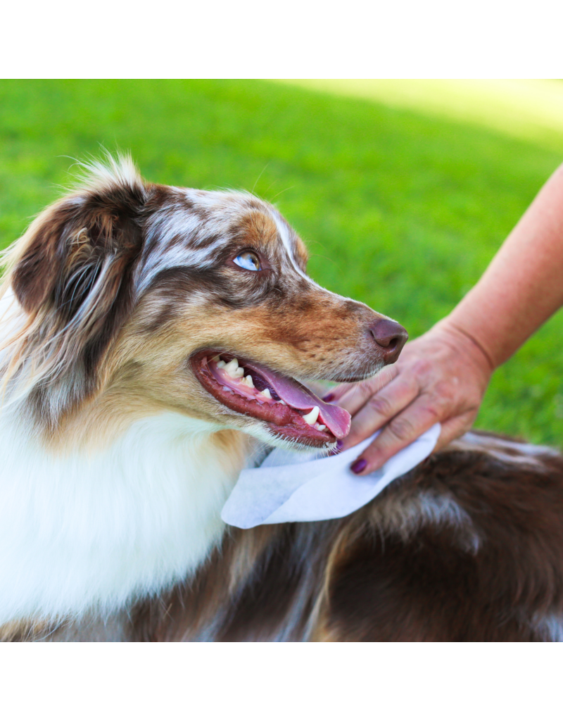 Earthbath DISC/M Earthbath Dog Grooming Wipes | Puppy Wipes Wild Cherry 30 ct