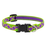 Lupine Lupine Originals 1/2" Dog Collar | Jester 8"-12" Limited Edition 2024