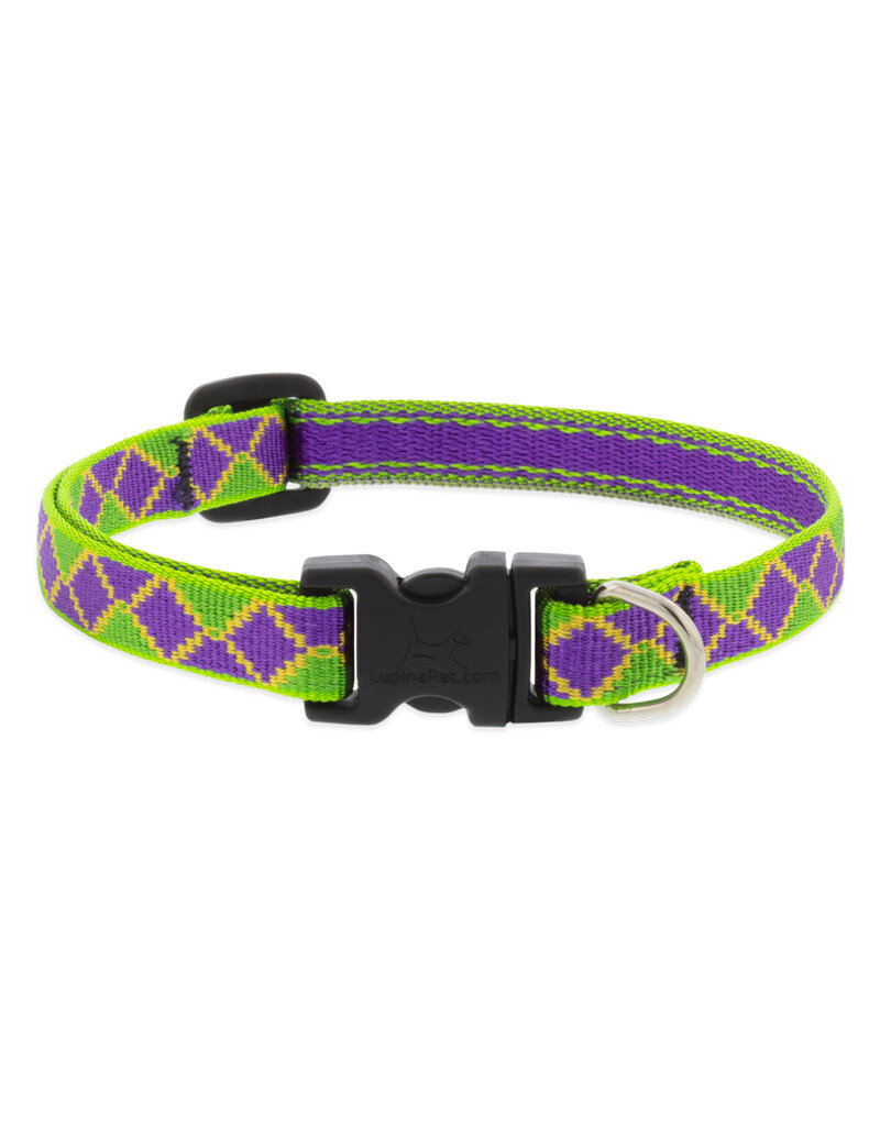 Lupine Lupine Originals 1/2" Dog Collar | Jester 8"-12" Limited Edition 2024