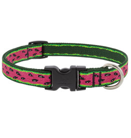 Lupine Lupine Originals 3/4" Dog Collar | Watermelon 13"-22" Limited Edition 2024