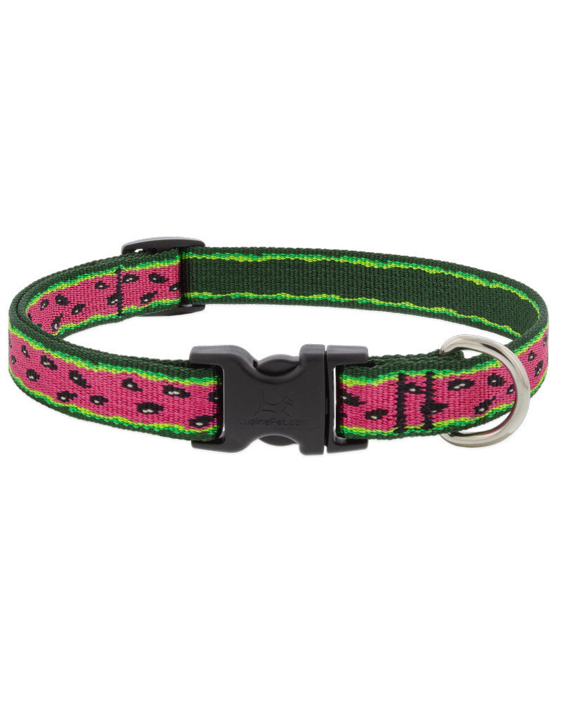 Lupine Lupine Originals 1" Dog Collar | Watermelon 12"-20" Limited Edition 2024