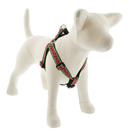 Lupine Lupine Originals 3/4" Step-In Dog Harness | Watermelon 15"-21" Limited Edition 2024