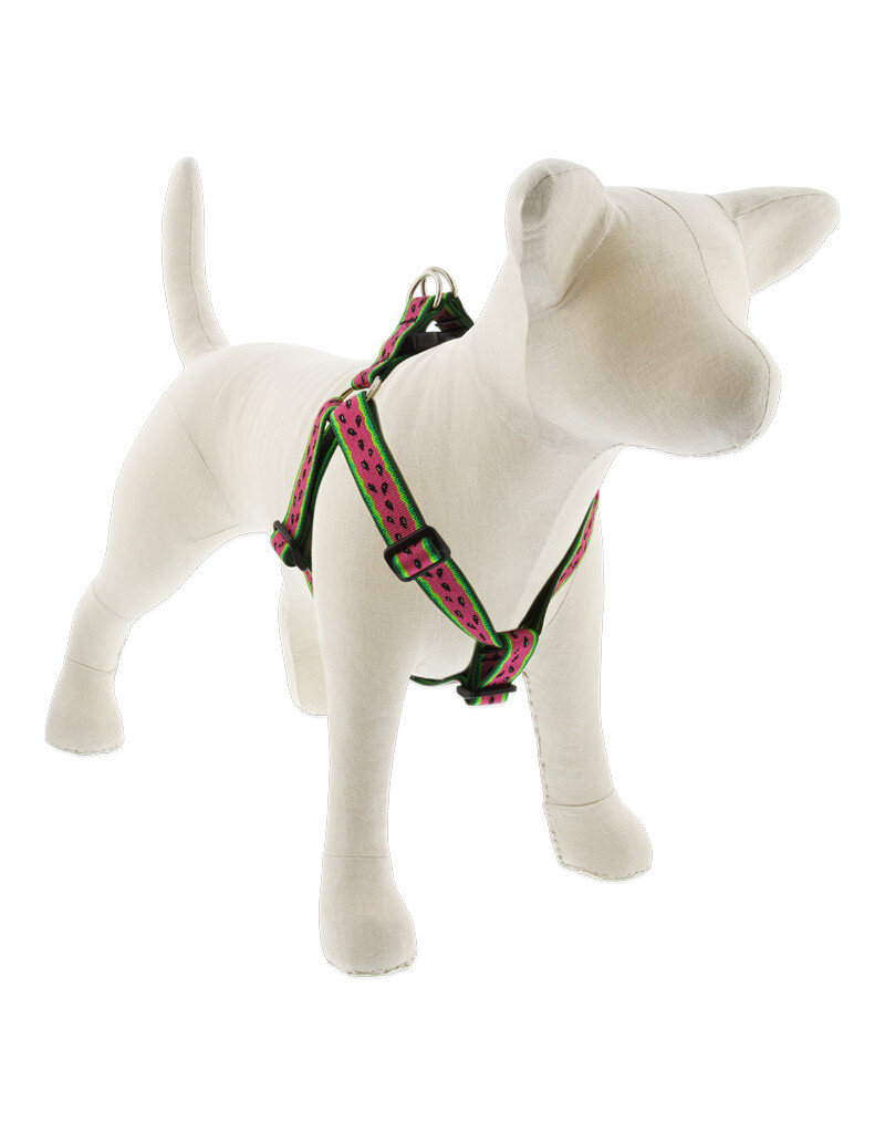 Lupine Lupine Originals 3/4" Step-In Dog Harness | Watermelon 15"-21" Limited Edition 2024