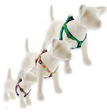 Lupine Lupine Originals 3/4" Step-In Dog Harness | Watermelon 15"-21" Limited Edition 2024