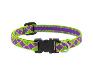 Lupine Originals 1 2 Dog Collar Jester 10 16 Limited Edition 2024 The Pet Beastro