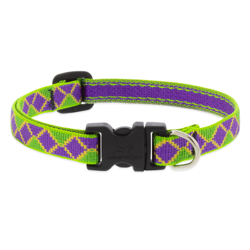 ●LOTONE & J-DOG NOX Lumen | Leash – Zee.Dog