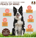 Natural Dog Company Zz Natural Dog Company Supplements | Calming Oil with Chamomile 16 oz