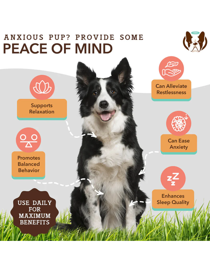 Natural Dog Company Zz Natural Dog Company Supplements | Calming Oil with Chamomile 16 oz