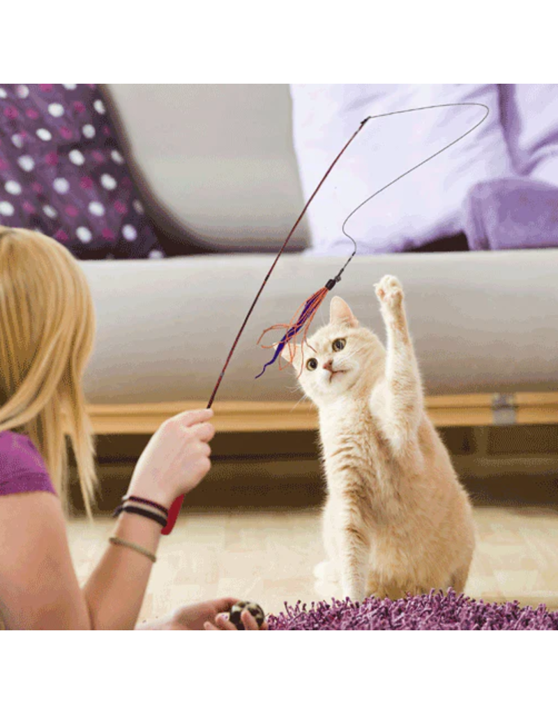 Dezi & Roo Dezi & Roo Cat Toys | Wiggly Wand