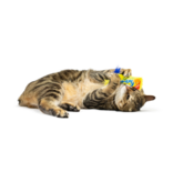 Huxley & Kent Huxley & Kent Cat Toys Halloween | Flufferfinger Catnip Toy