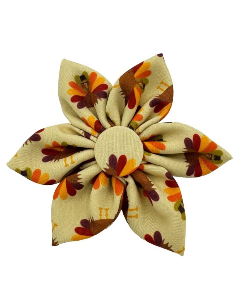 Huxley & Kent Huxley & Kent Fall Pinwheel | Me Worry Turkey Small