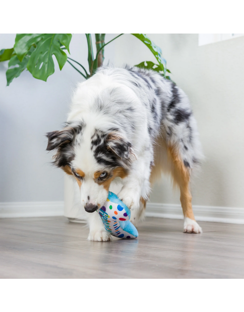 Huxley & Kent Huxley & Kent Birthday Dog Toys | It's My Barkday Bone Large