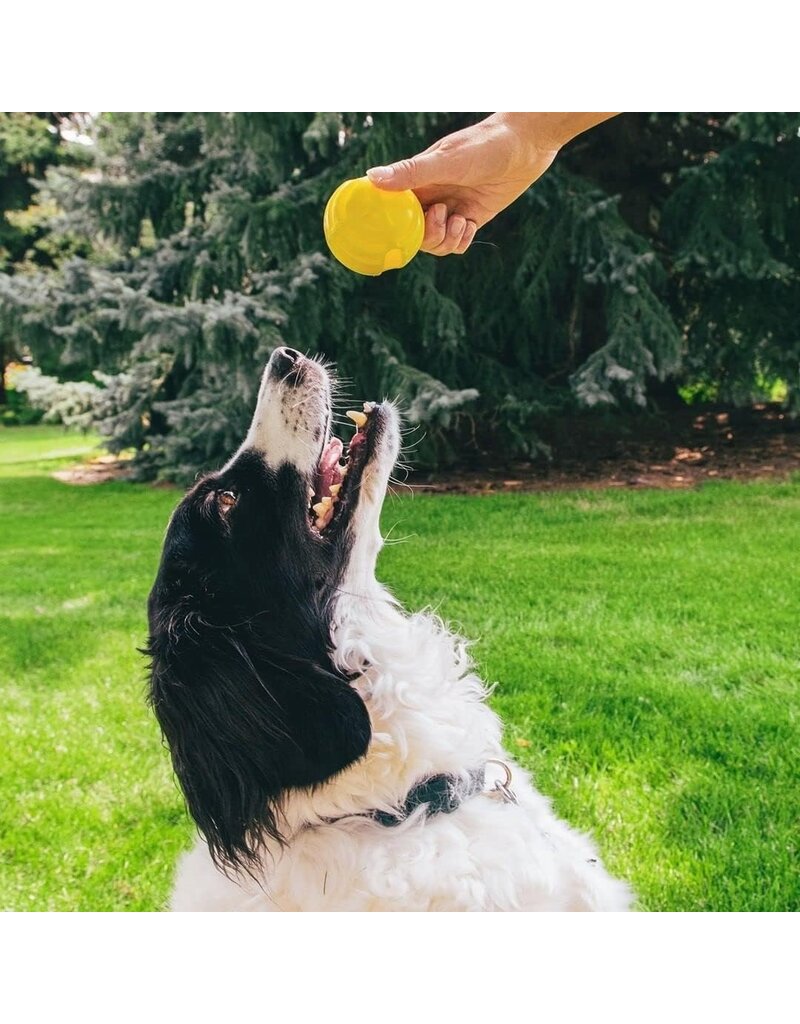 Flingerz Flingerz Dog Toys | Yellow & Glow Ball 2 pk