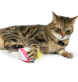 Huxley & Kent Huxley & Kent Birthday Cat Toys | Meh' A Wish Cake Slice