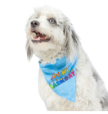 Huxley & Kent Huxley & Kent Bandana | Reversible Party Time 2.0 Blue Small