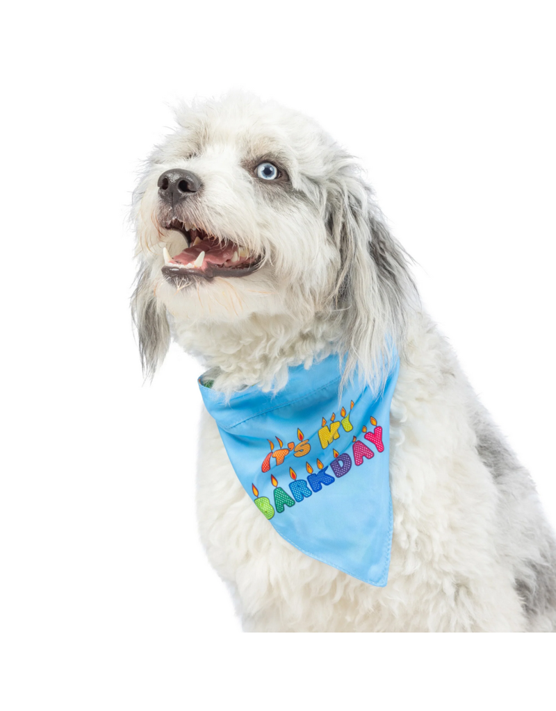 Huxley & Kent Huxley & Kent Bandana | Reversible Party Time 2.0 Blue Small