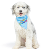 Huxley & Kent Huxley & Kent Bandana | Reversible Party Time 2.0 Blue Large