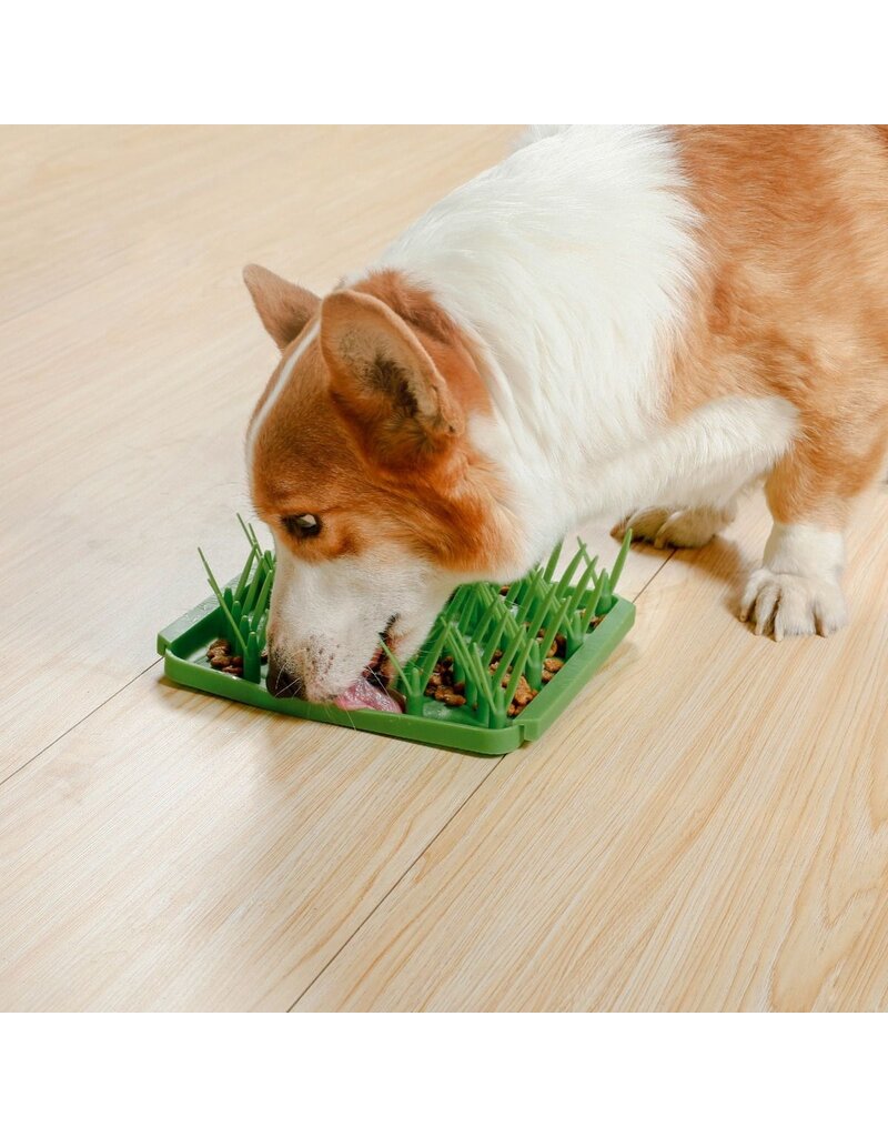 Tall Tails Tall Tails Foraging Mat | Green Grass 8.5 in/1 Cup