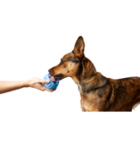 Woof Woof Pupsicle | Treat Dispenser LE Blue Extra Large (XL)