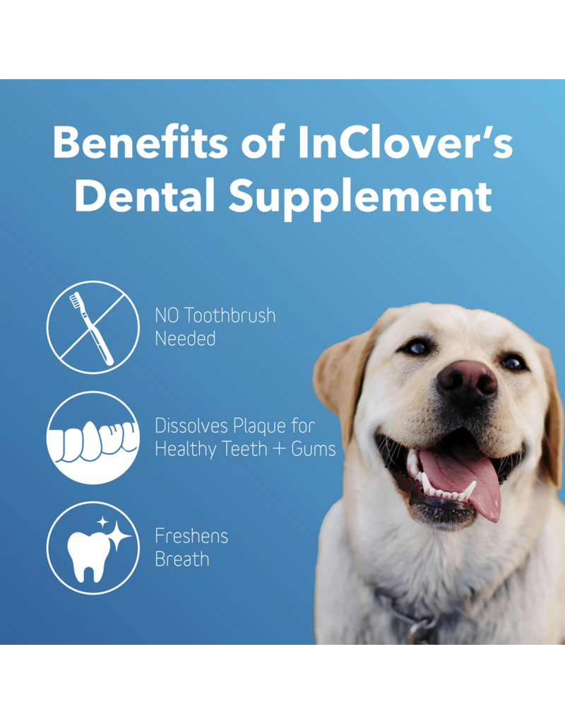 Inclover InClover Supplements | BioBrilliant Dental Powder 85 g