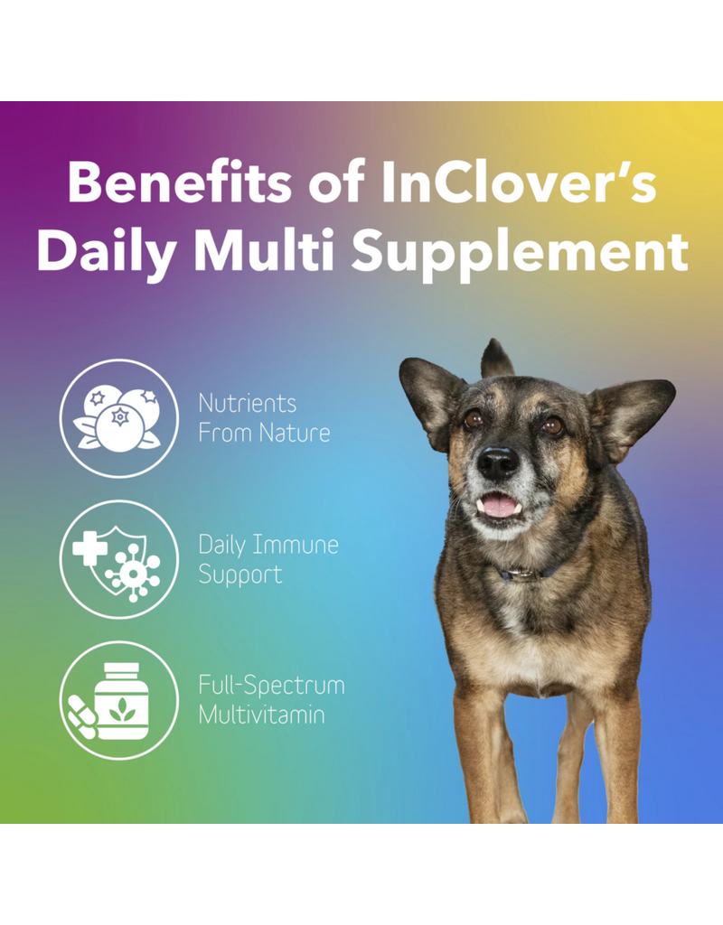 Inclover InClover Supplements | Daily Multi Powder 100 g