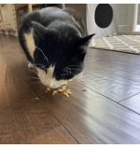 Farm to Pet Farm to Pet Cat Treats | Turkey Crumbles 3 oz