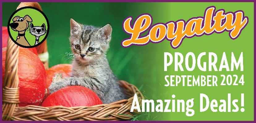 September Surprises! What’s Waiting for You at The Pet Beastro?