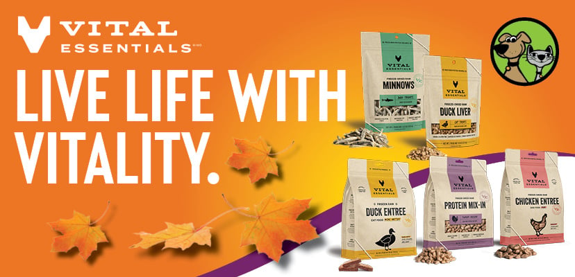 Why Vital Essentials is Your Pet’s Key to Vitality and Wellness