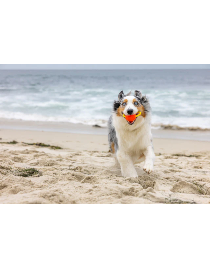 Project Hive Pet Company Project Hive Dog Toys | Hive Zoomer Launcher & Looped Ball Combo
