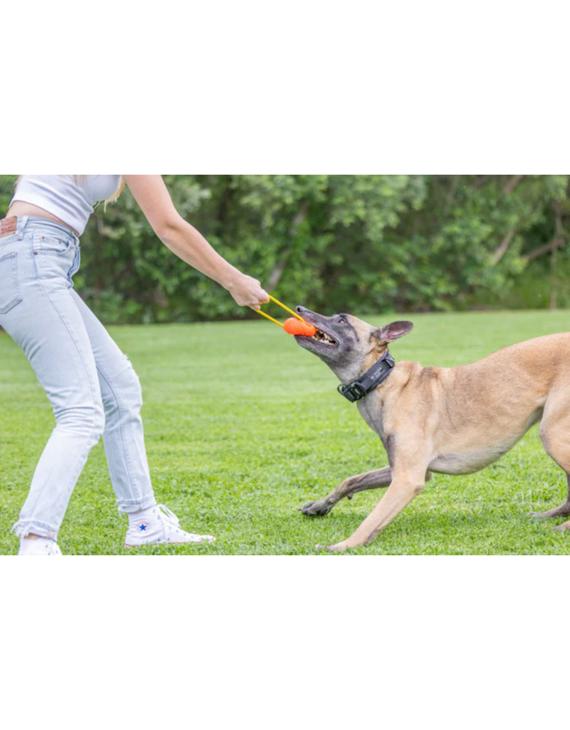 Project Hive Pet Company Project Hive Dog Toys | Hive Zoomer Launcher & Looped Ball Combo