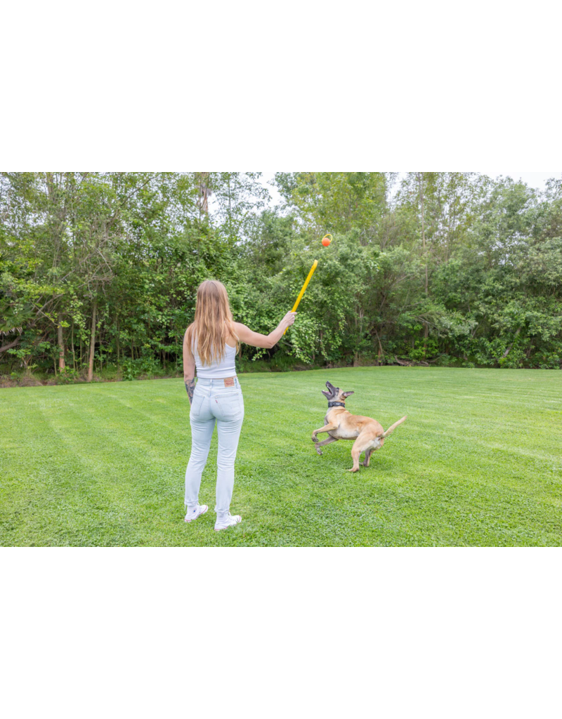 Project Hive Pet Company Project Hive Dog Toys | Hive Zoomer Launcher & Looped Ball Combo