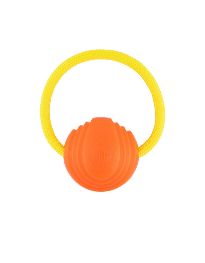 Project Hive Pet Company Project Hive Dog Toys | Hive Zoomer Launcher & Looped Ball Combo