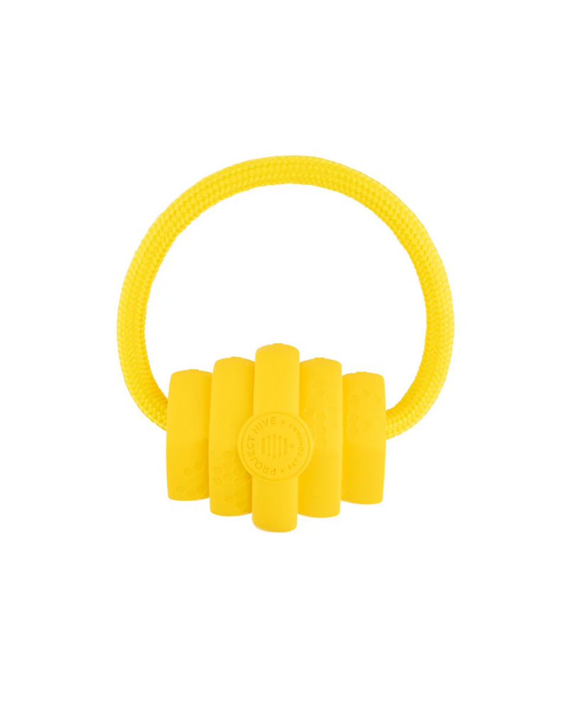 Project Hive Pet Company Project Hive Dog Toys | Looped Hive for Small/Medium Breeds
