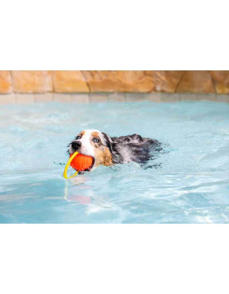 Project Hive Pet Company Project Hive Dog Toys | Hive Ball Orange Large