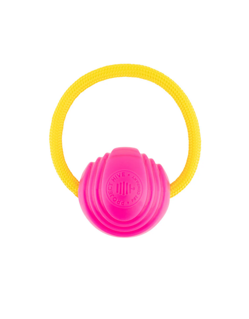 Project Hive Pet Company Project Hive Dog Toys | Hive Balls Pink & Blue Small/Medium 2 Pack