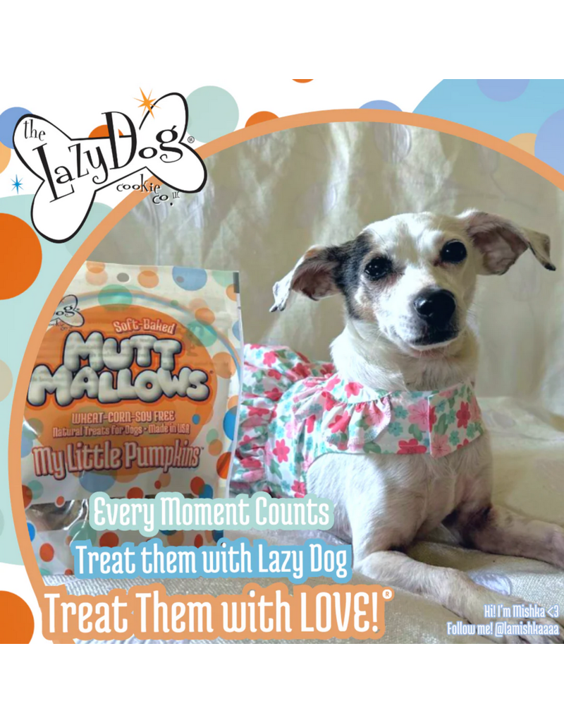 Lazy Dog Cookie Co. Lazy Dog Soft Baked Dog Treats | Mutt Mallows My Little Pumpkins 5 oz single
