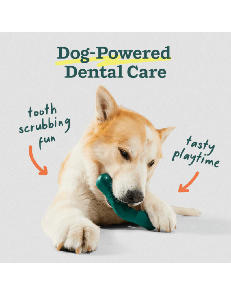 Woof Woof Bite N Brush | Toothbrush Enrichment Toy Large