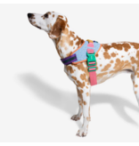 Zee.Dog Zee Dog FlyHarness | Galaxy Multi Color Size 2