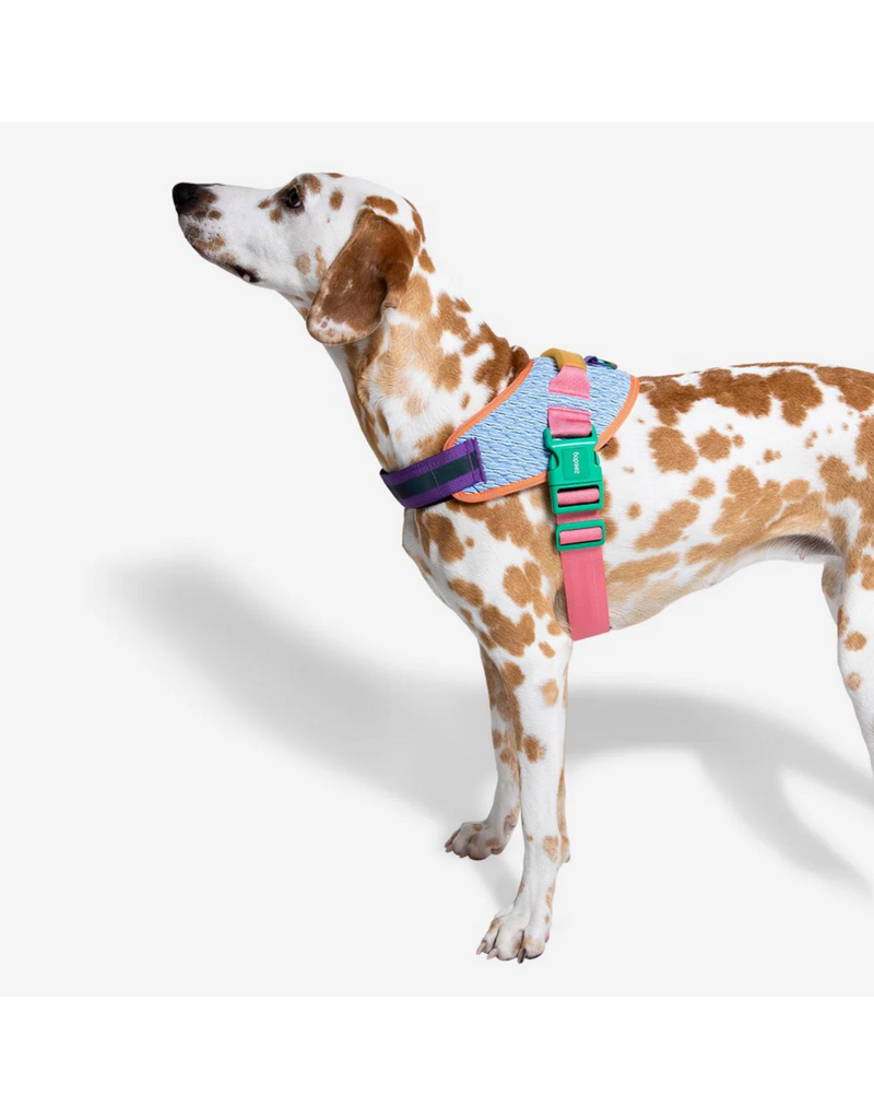 Zee.Dog Zee Dog FlyHarness | Galaxy Multi Color Size 2