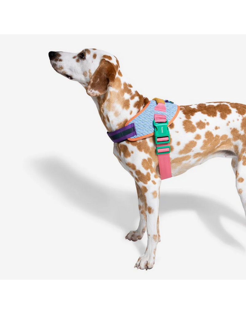 Zee.Dog Zee Dog FlyHarness | Galaxy Multi Color Size 3